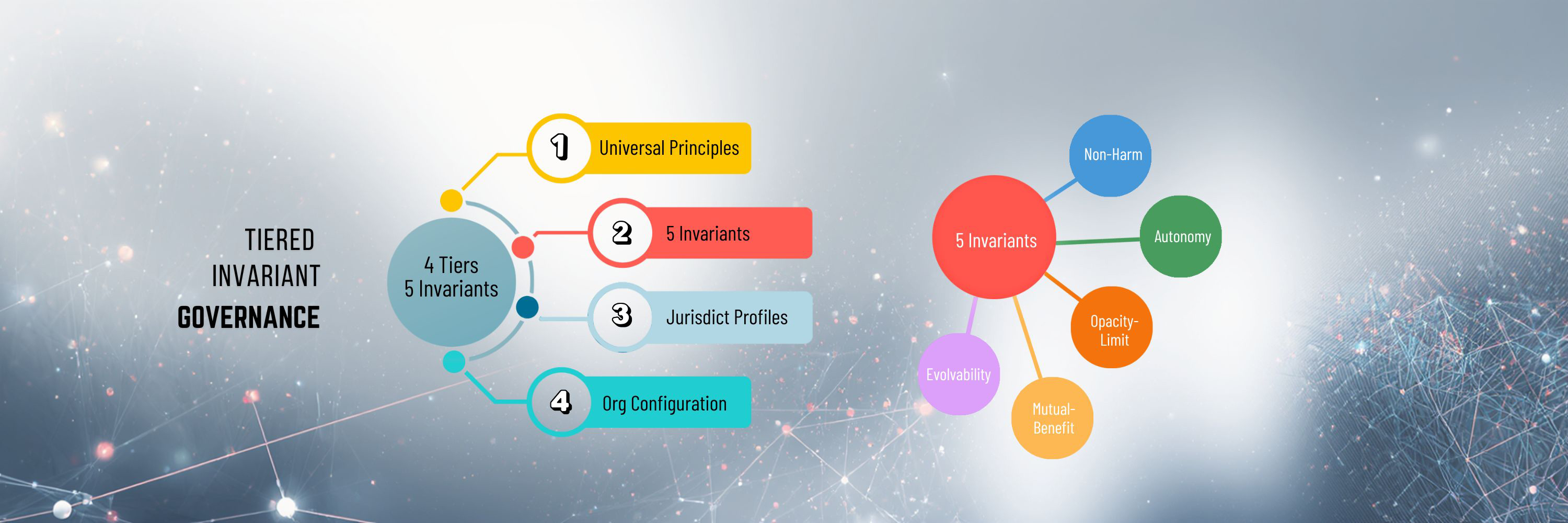 introducing qgi invariant governance