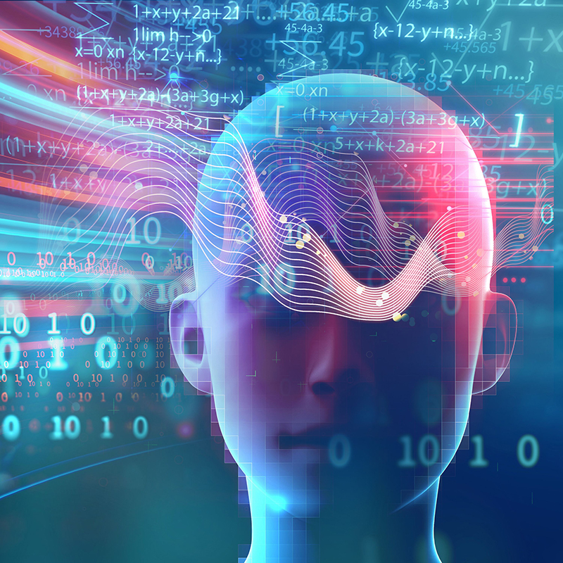 human consciousness influencing universal equations